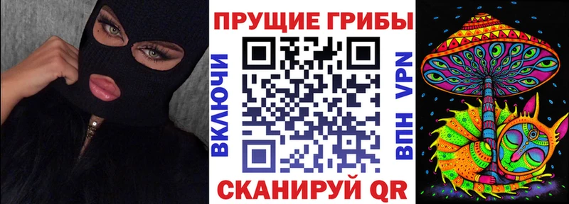 цены   Балашов  Галлюциногенные грибы Psilocybe 